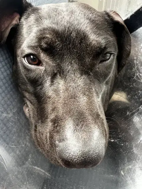 Monty photo 5