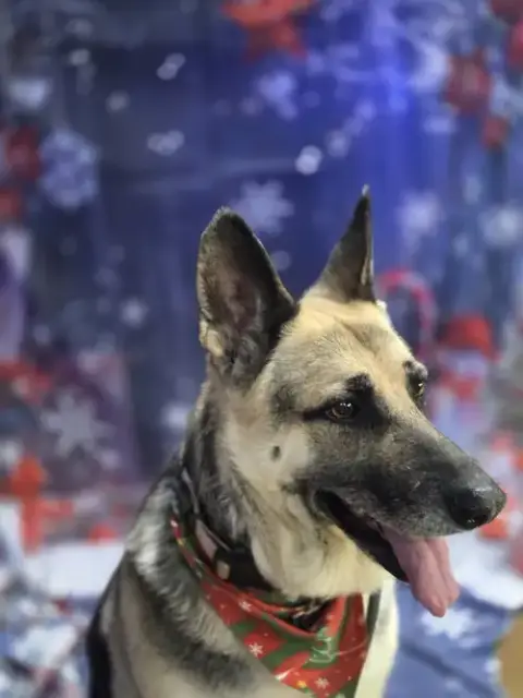 Maggie photo 3