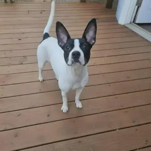 Helen