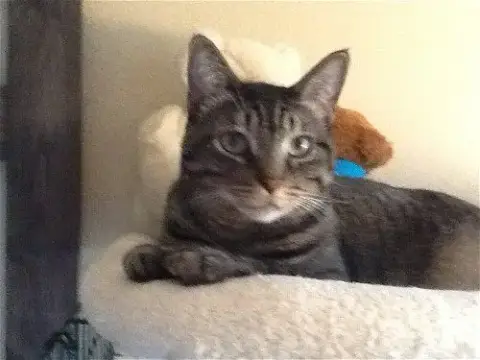 Spunky