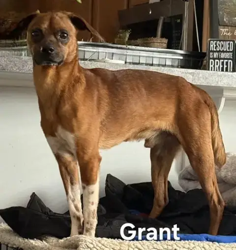 Grant photo 3