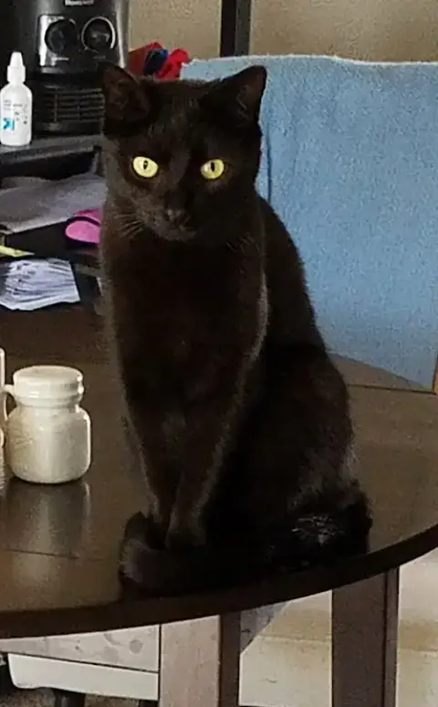 Barry photo 5