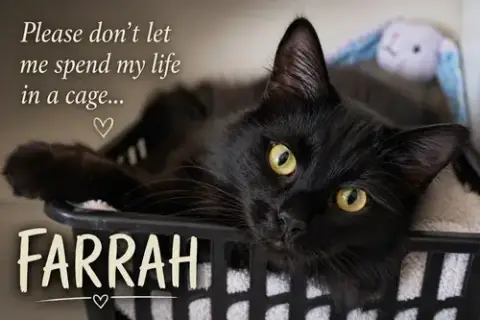Farrah: Dmh photo 2