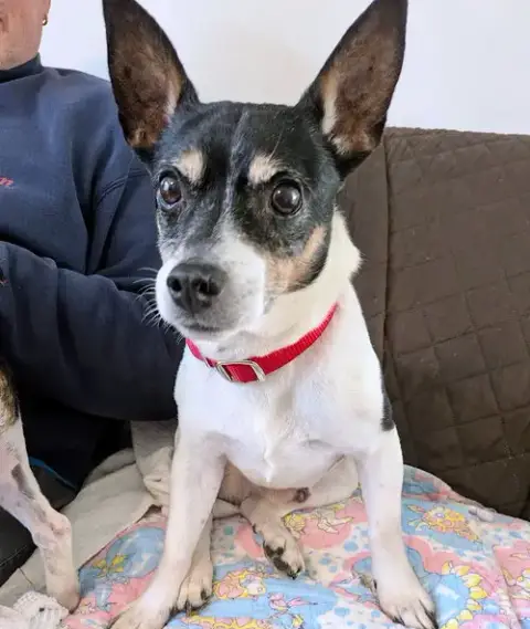 Cheddar photo 4