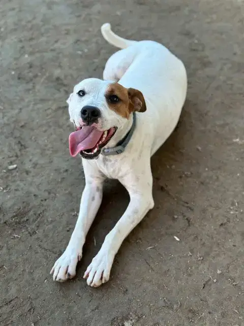 George