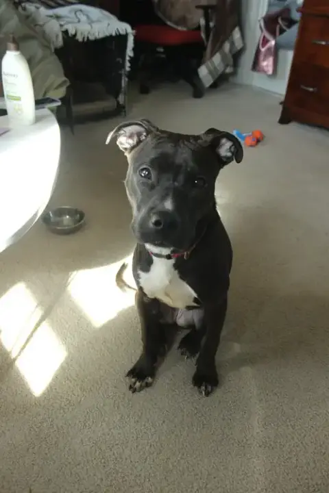 Rory In Washington Dc