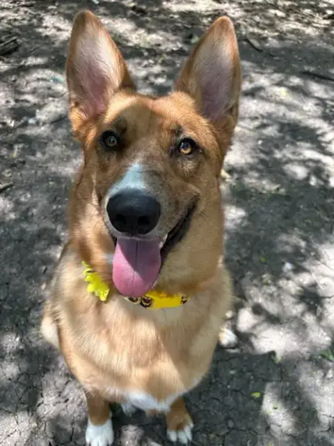 Lucy photo 2