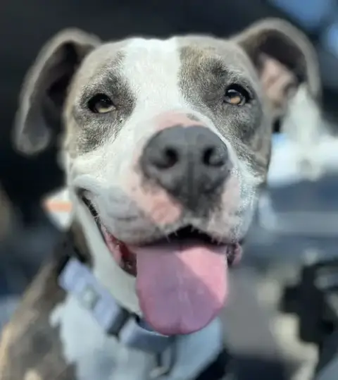 Pretty Princess Foster Needed Too! photo 5