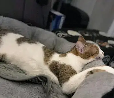 Maya photo 4