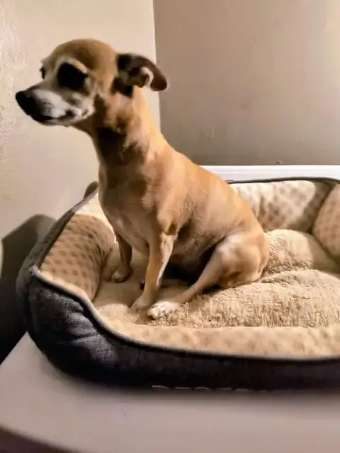 Mama Coco