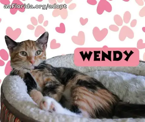 Wendy photo 4