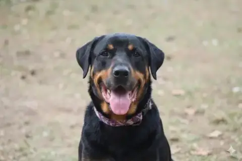 Reggie photo 2