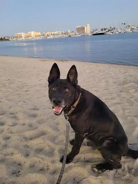 Felipe