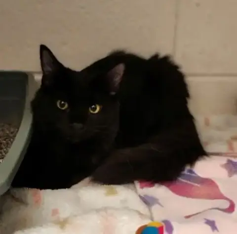 Salem photo 3