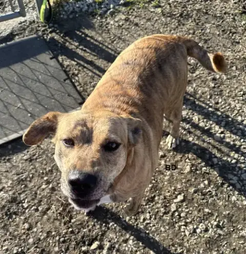 Winifred "Winnie" photo 4