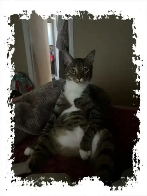 Copurrnicus Bonded With Ella photo 2
