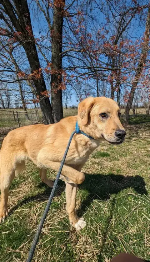 Reggie photo 3