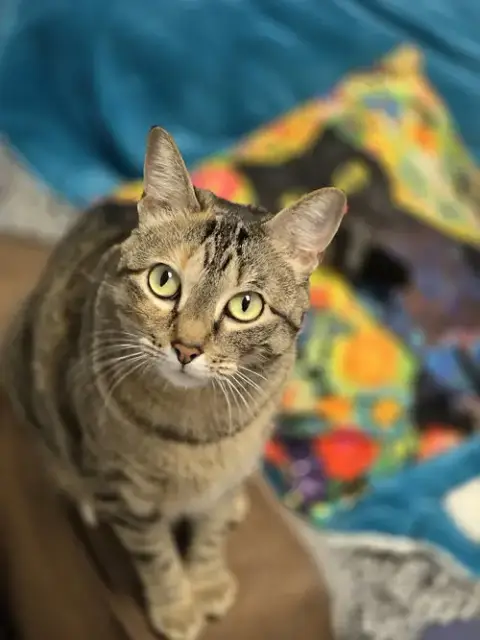Dinah photo 2