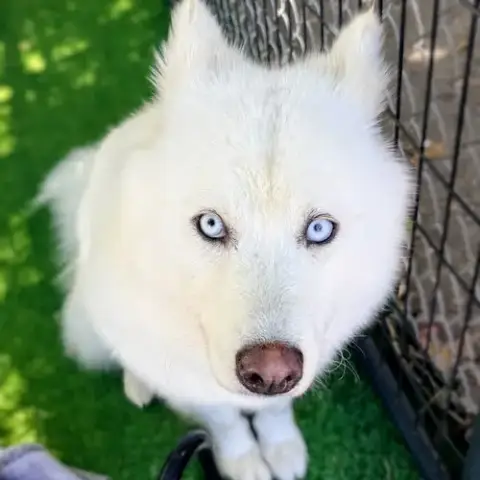 Skylie photo 3