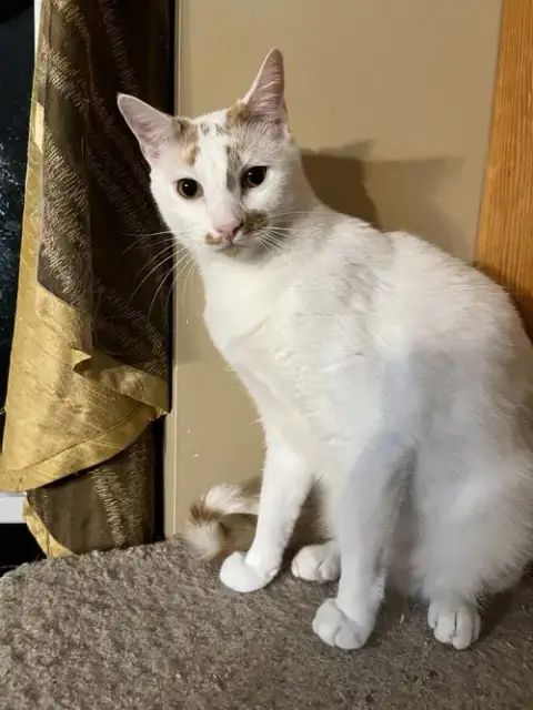 Ken