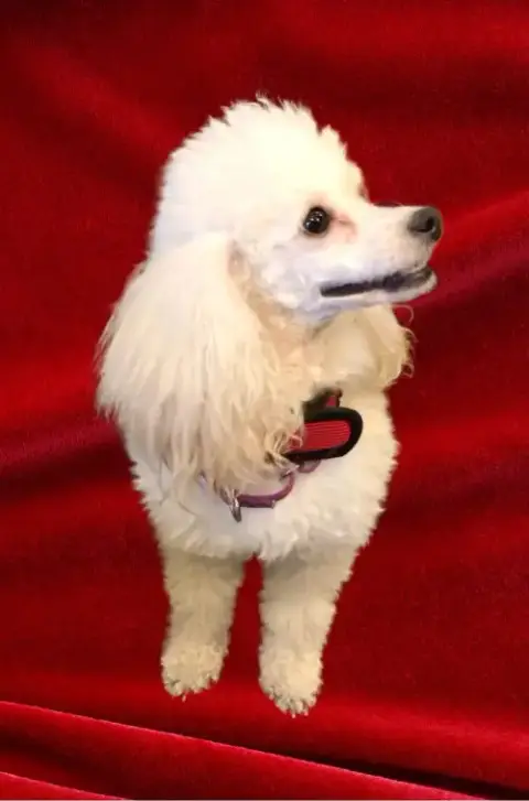 Jenna photo 2