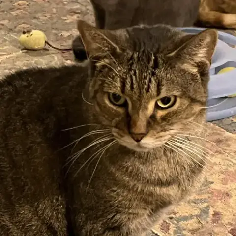 Sam