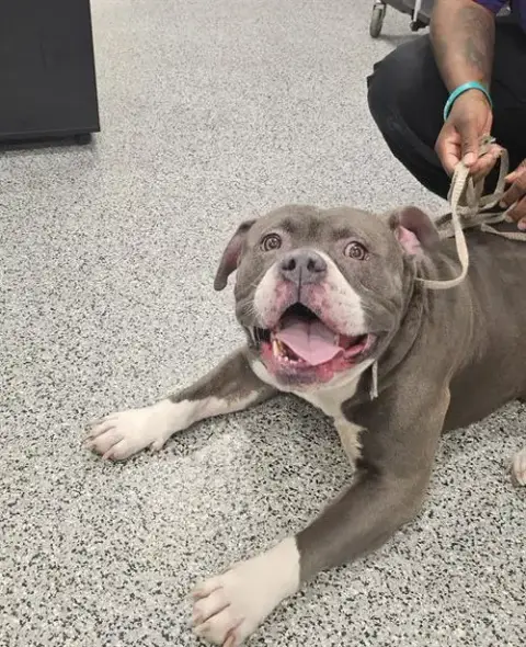 Odin