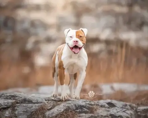Karma photo 2