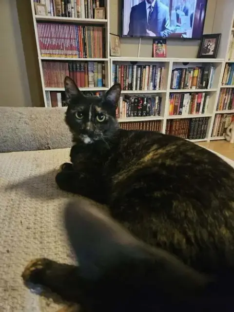 Sweetie