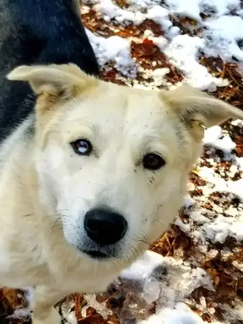 Charlie photo 2