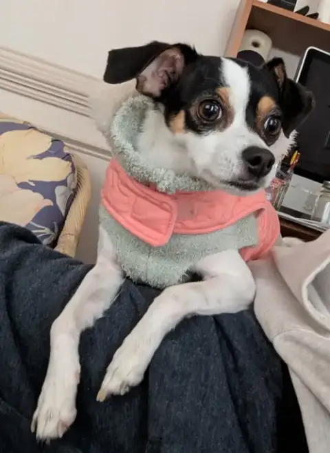 Jack Jack photo 2