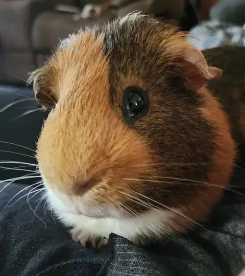Walter ⭐️