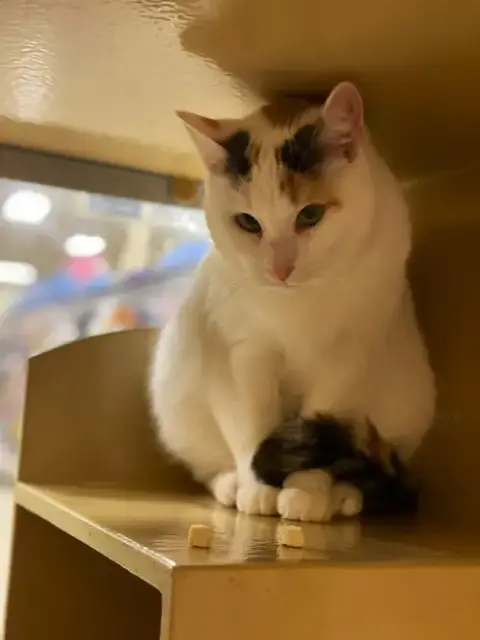 Penelope photo 4