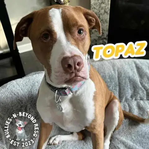 Topaz photo 4