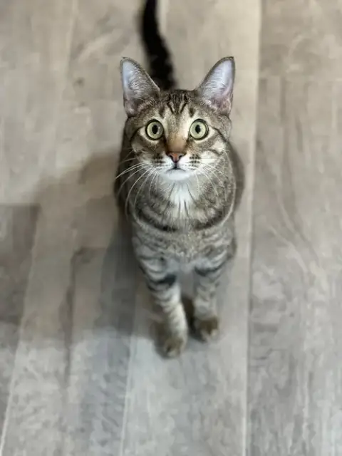 Simba Lloyd photo 2