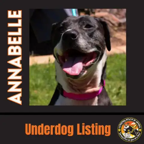 Annabelle "Annie" photo 3