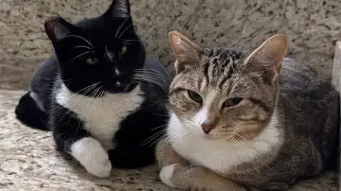 Pepper & Angel