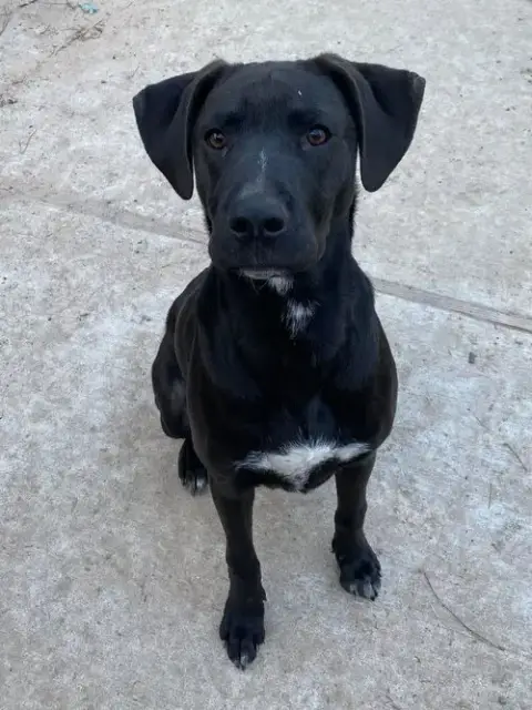 Jack Jack photo 4