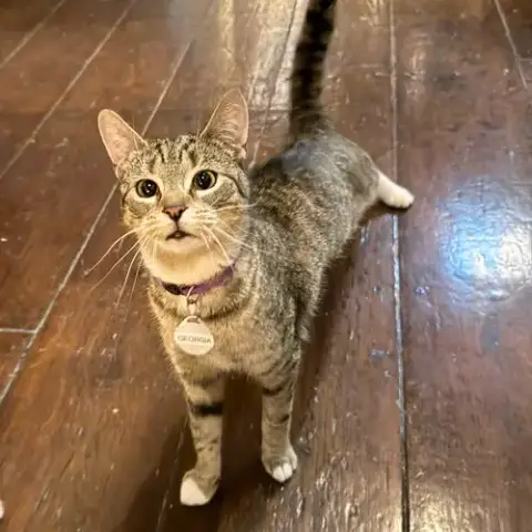 Georgia