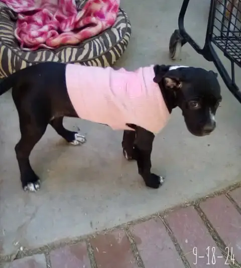 Gamora-In A Foster Home photo 4
