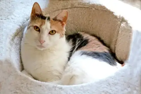Mimi photo 3
