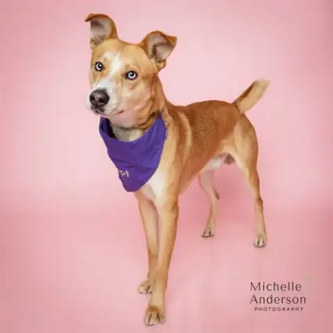 Carmelo