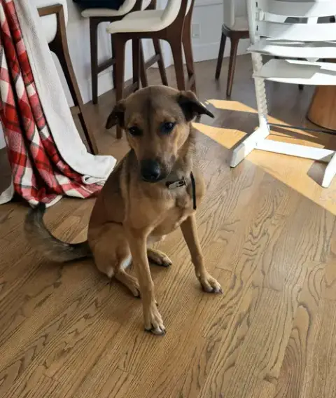 Maggie