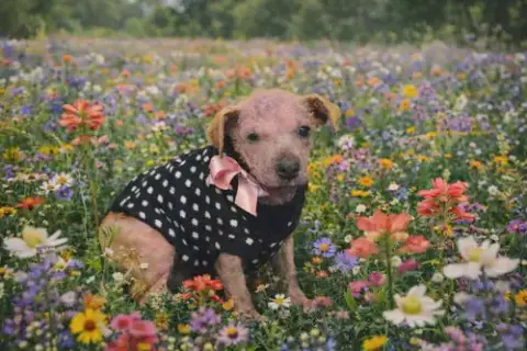 Esther photo 4