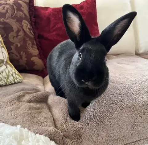 Alan