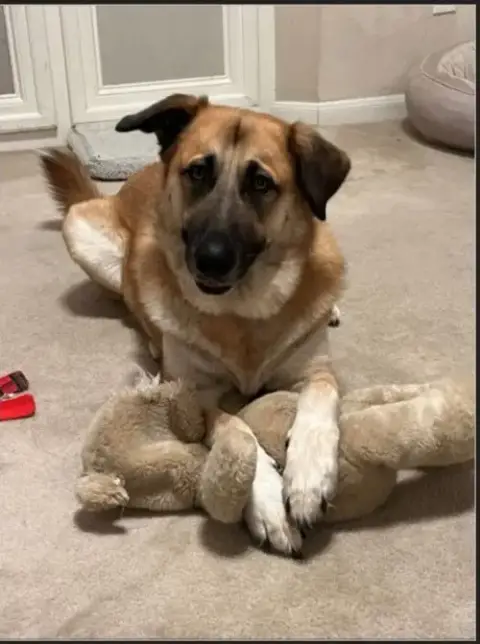 Gracie