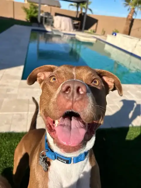 Millie photo 3