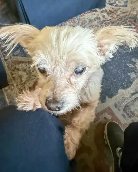 Betty photo 2