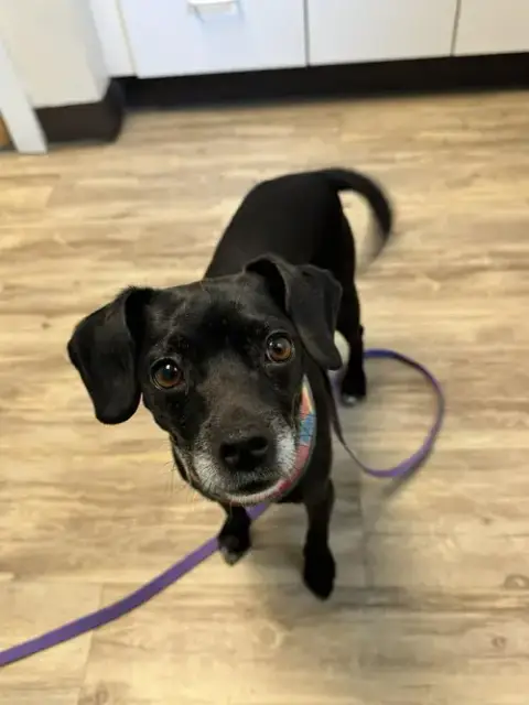 Fiona