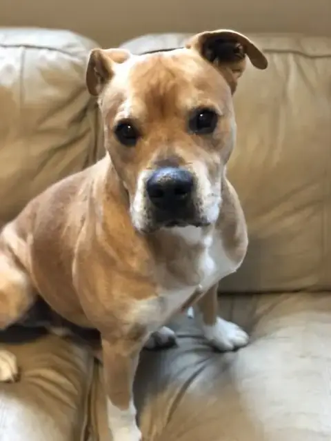 Titus photo 3